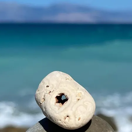 Lemon Tree Gr Lejlighed *