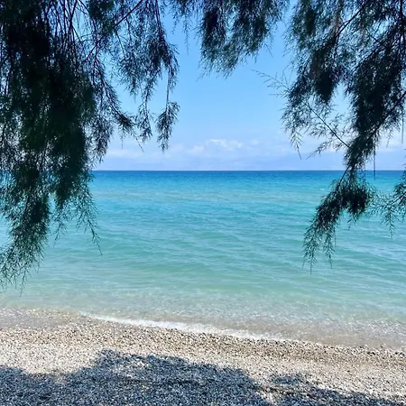 Lemon Tree Gr Xilókasztro