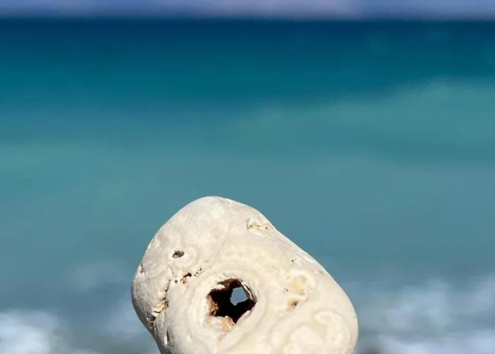 Lemon Tree Gr アパート *