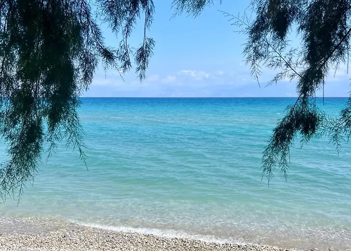 Lemon Tree Gr クシロカストロ