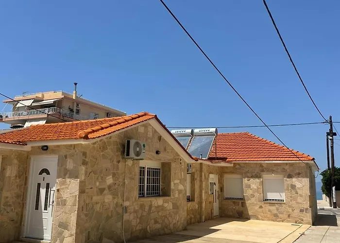 Lemon Tree Gr クシロカストロ