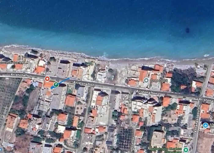 Lemon Tree Gr クシロカストロ